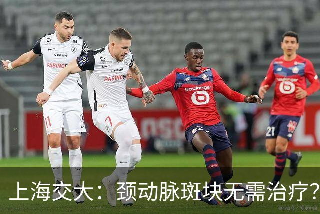 上海交大：颈动脉斑块无需治疗？真相可能让你大吃一惊