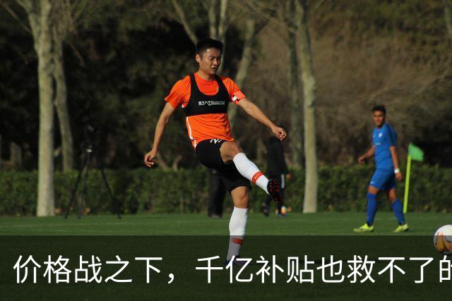 价格战之下，千亿补贴也救不了的车市真相