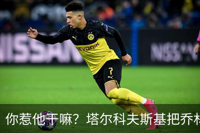 你惹他干嘛？塔尔科夫斯基把乔林顿揪地上，随后被按到了网里