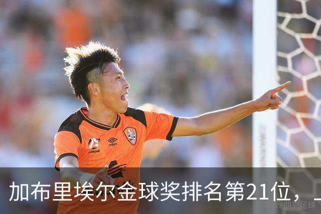 加布里埃尔金球奖排名第21位，上赛季英超17次零封为后卫最多