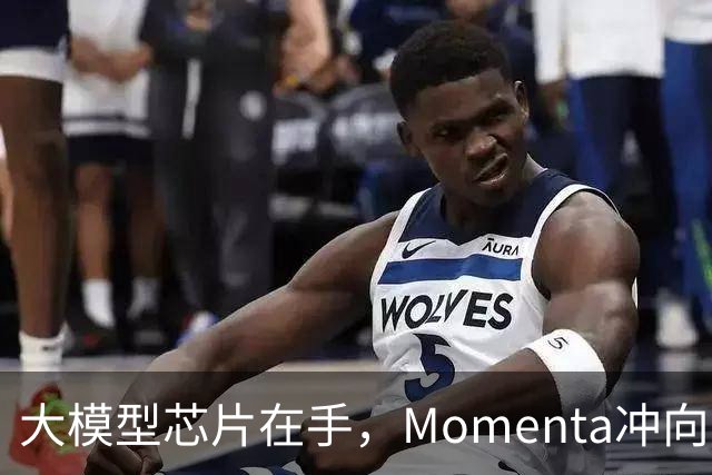 大模型芯片在手，Momenta冲向L4引爆点