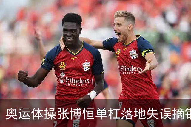 奥运体操张博恒单杠落地失误摘铜 冈慎之助夺金