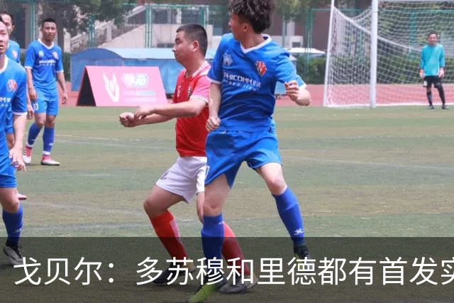 戈贝尔：多苏穆和里德都有首发实力 阵容调整后我的角色变化不大