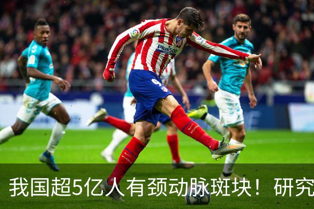 我国超5亿人有颈动脉斑块！研究证实：斑块可以消退！有6点建议