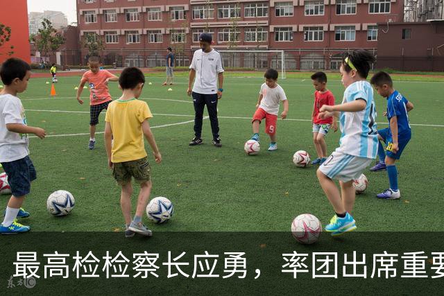 最高检检察长应勇，率团出席重要会议