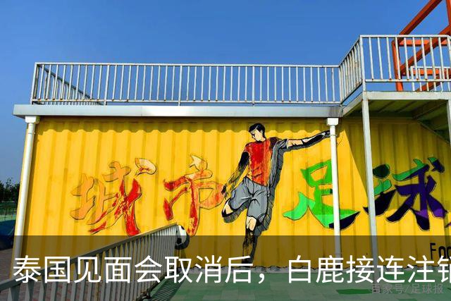 泰国见面会取消后，白鹿接连注销名下三家公司，网友：果然有猫腻