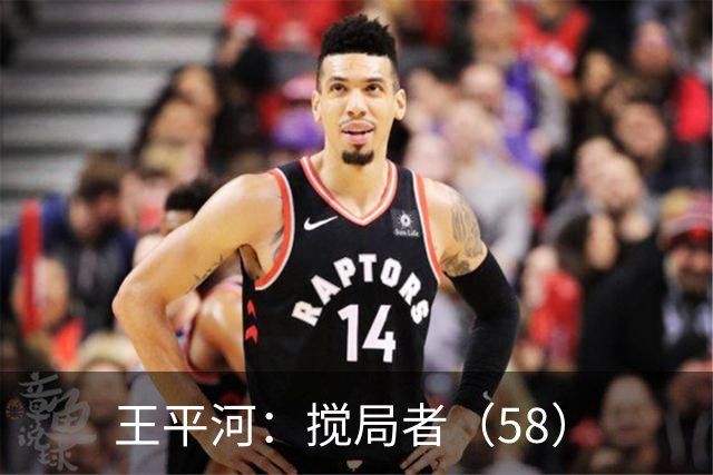 王平河：搅局者（5/8）
