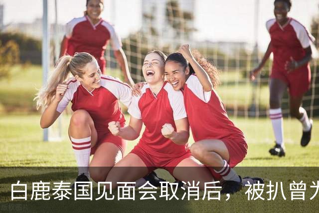 白鹿泰国见面会取消后，被扒曾为缅北拍宣传片，知情人爆更多内幕