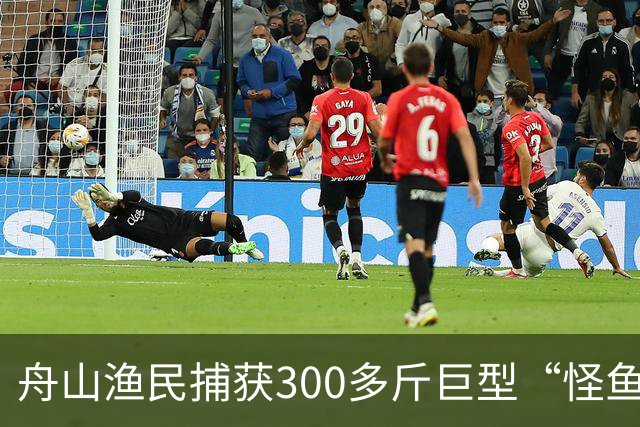 舟山渔民捕获300多斤巨型“怪鱼”，已放归大海，经辨认系翻车鱼，是已知世界上生殖力最强的脊椎动物；网友：以为是一块大石头
