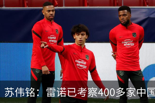 苏伟铭：雷诺已考察400多家中国企业