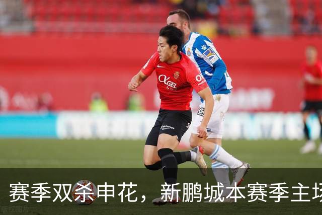 赛季双杀申花，新鹏城本赛季主场圆满收官