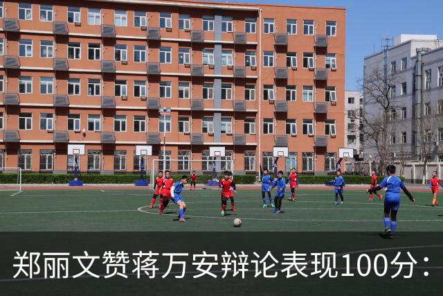 郑丽文赞蒋万安辩论表现100分：海水退了，才知道谁没穿裤子