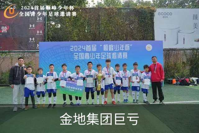 金地集团巨亏
