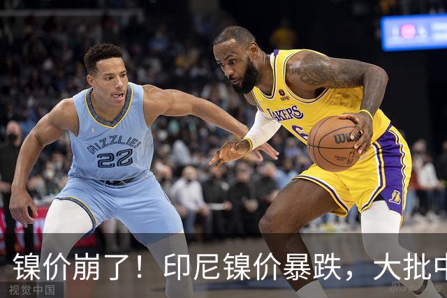 镍价崩了！印尼镍价暴跌，大批中企在印尼镍厂亏惨，集体减产！