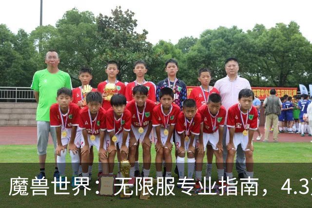 魔兽世界：无限服专业指南，4.3万角色样本参考，两种天坑搭配别碰
