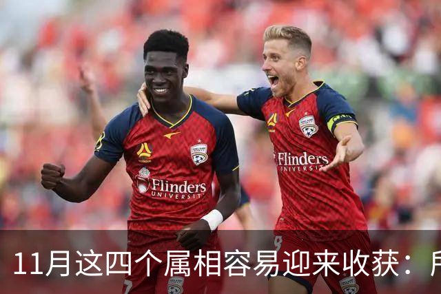 11月这四个属相容易迎来收获：所有惊喜，都是长期默默耕耘的结果